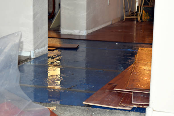 Professional Basement Flood Cleanup technician working in Bellevue, ID